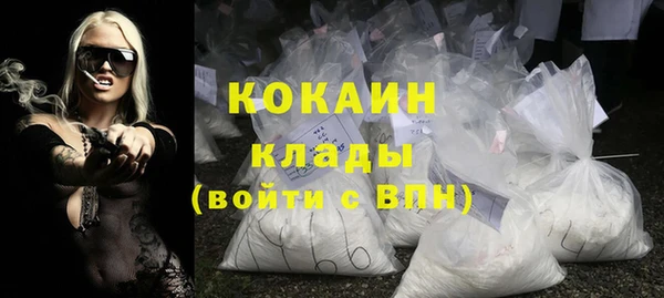 крисы Няндома
