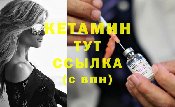 крисы Няндома