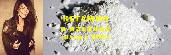 крисы Няндома