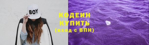 крисы Няндома