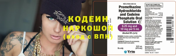 крисы Няндома