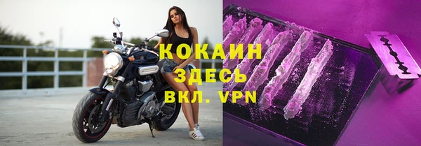 крисы Няндома