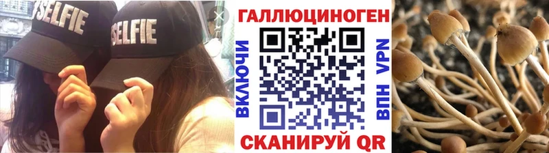 купить закладку  блэк спрут как войти  Галлюциногенные грибы Psilocybe  Волжск 