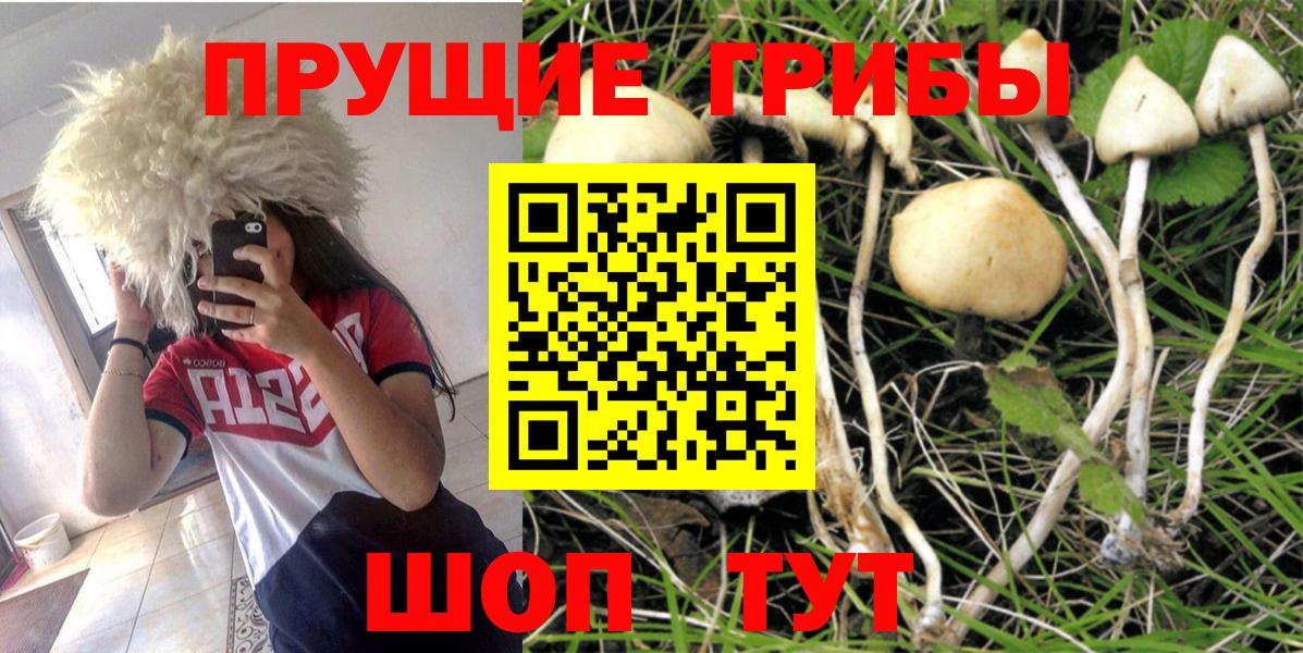 Галлюциногенные грибы мицелий Волжск
