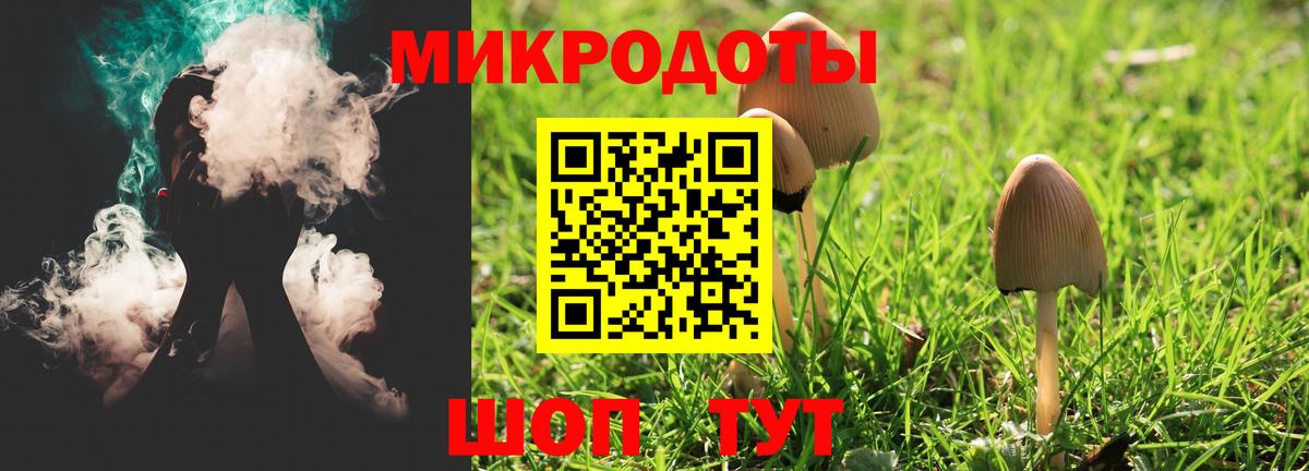 купить  цена  Волжск  Псилоцибиновые грибы MAGIC MUSHROOMS  Галлюциногенные грибы MAGIC MUSHROOMS 